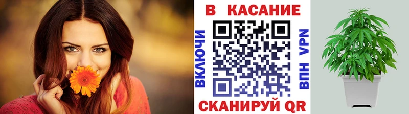 Купить наркотики Донской Конопля  Меф  Галлюциногенные грибы  Гашиш  МЕГА зеркало  Alpha-PVP 