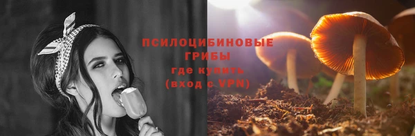 2c-b Алзамай