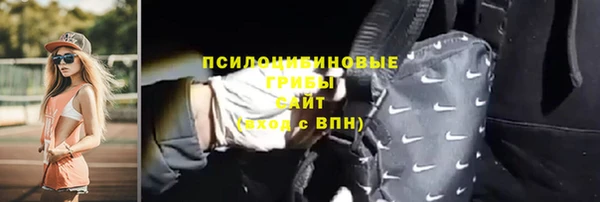 винт Алексин