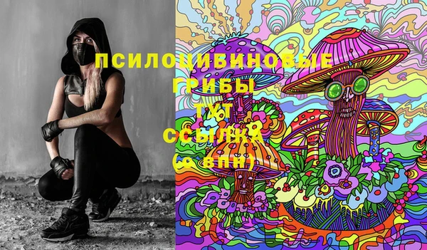 винт Алексин