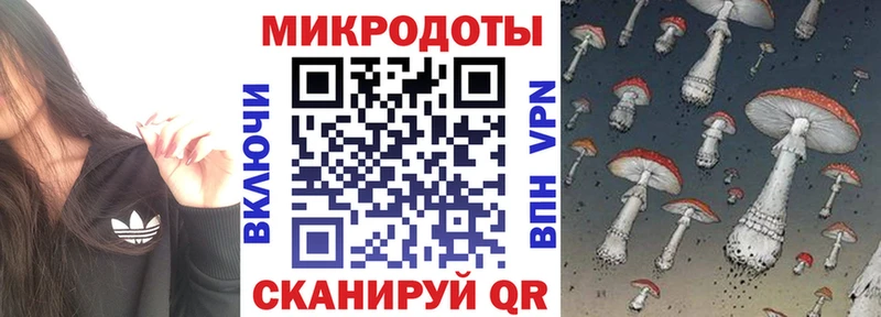 Галлюциногенные грибы Cubensis  Донской 