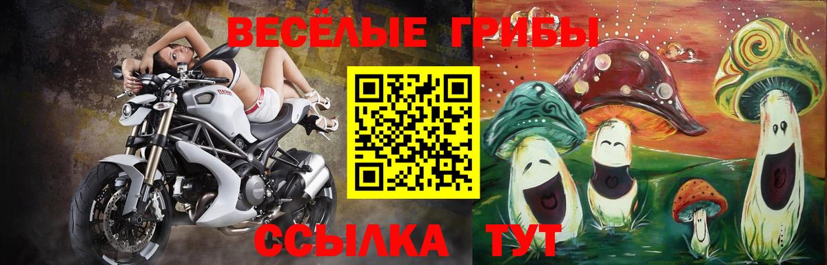 Донской  Псилоцибиновые грибы Cubensis  Псилоцибиновые грибы прущие грибы  Вход с VPN 
